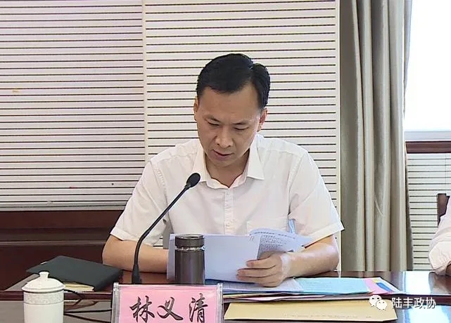 市委副书记欧阳柳,市委常委,常务副市长林义清就全市"三大行动"工作